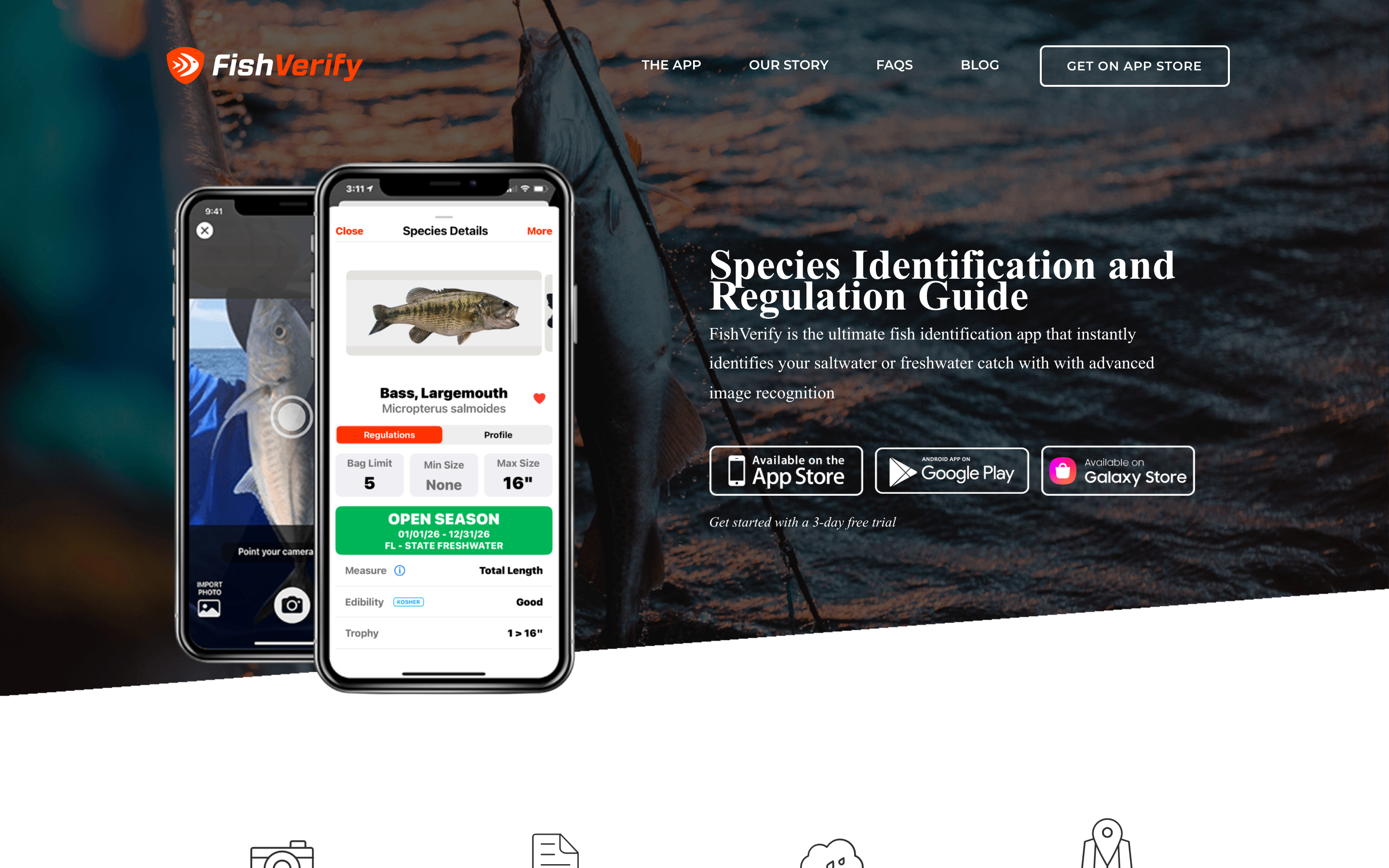 FishVerify marketing homepage with app mockups